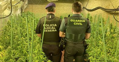 Dos detenidos en una plantación de marihuana