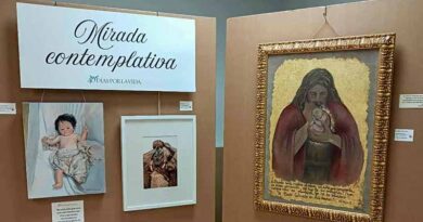 Mirada contemplativa, Exposicion-40-dias-por-la-vida-Toledo.jpg