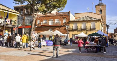 Mercadillo Navideño Solidario en Pantoja