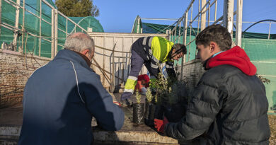 Plantas con trabajadores