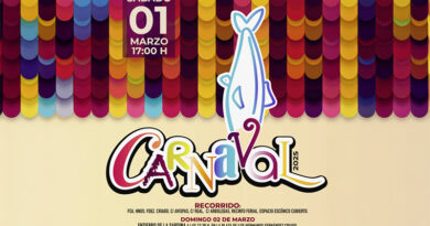 Cartel carnaval 2025 Illescas